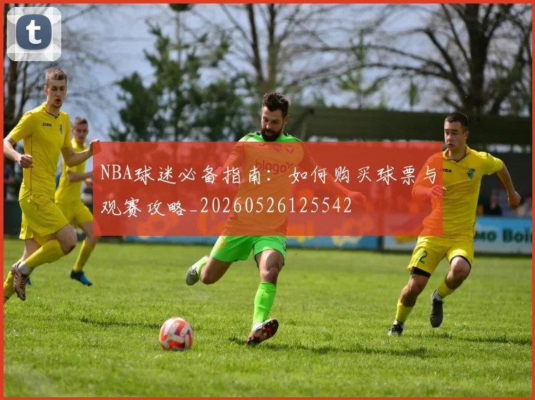 NBA球迷必备指南:如何购买球票与观赛攻略_20260526125542