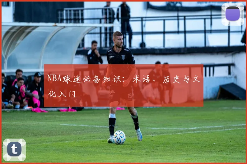 NBA球迷必备知识:术语、历史与文化入门