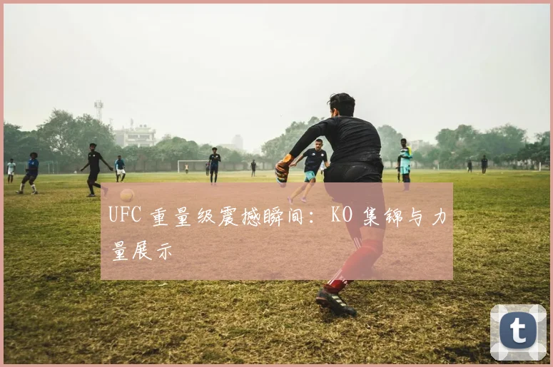UFC 重量级震撼瞬间:KO 集锦与力量展示